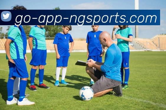 ng体育服务体系