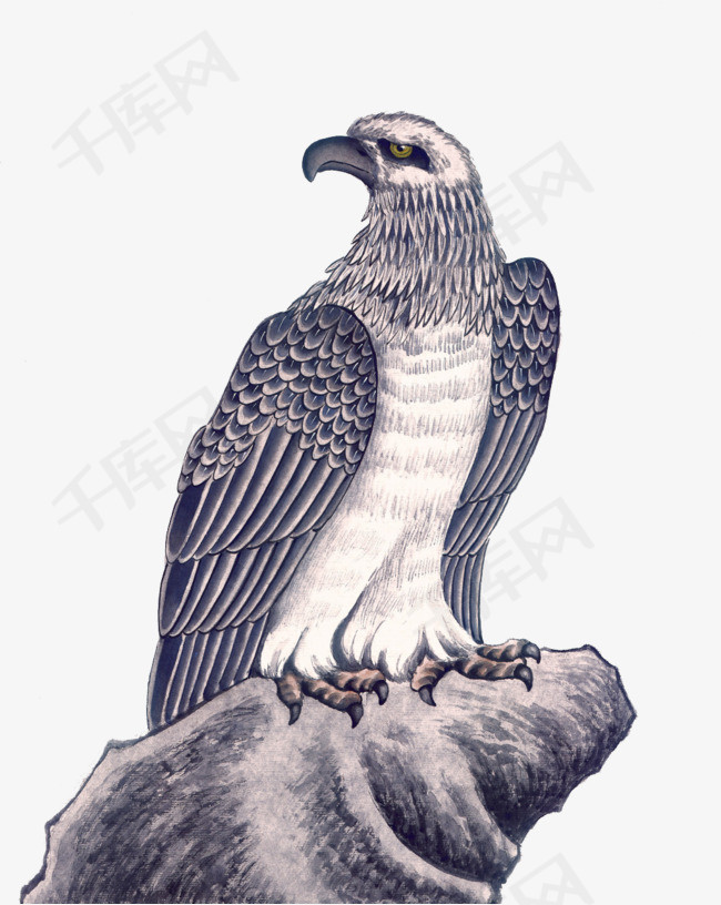 ng体育平台- 法兰克福雄鹰展翅翱翔，日本镰刀手原口元气梅开二度  